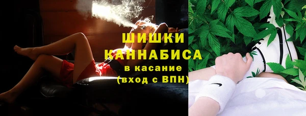 ГАЛЛЮЦИНОГЕННЫЕ ГРИБЫ Алексин