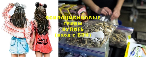 гашик Алексеевка