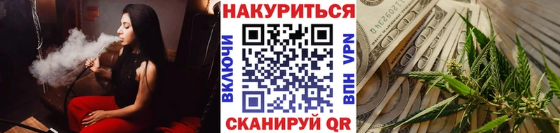 купить наркотики цена  Жиздра  Канабис White Widow 